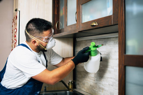 Best Insect Control  in Wtell, LA