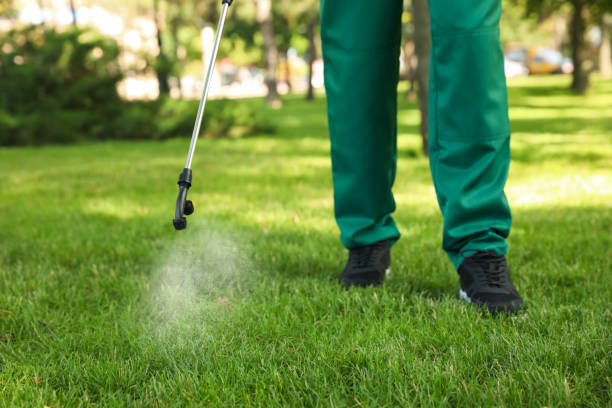 Best Flea Control Services  in Wtell, LA