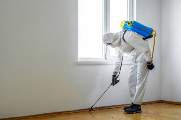 Best Cockroach Control Services  in Wtell, LA