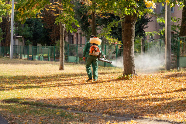 Flea Control Services in Lawtell, LA