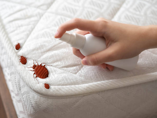Best Best Pest Control Companies  in Wtell, LA