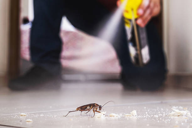 Best Emergency Pest Control  in Wtell, LA