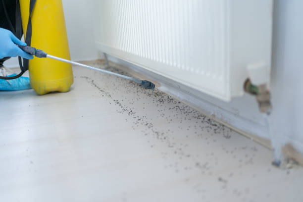Best Pest Control Near Me  in Wtell, LA