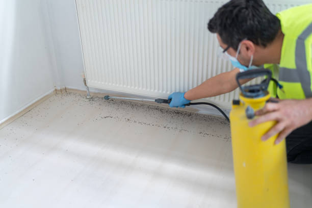 Best Pest Inspection Near Me  in Wtell, LA
